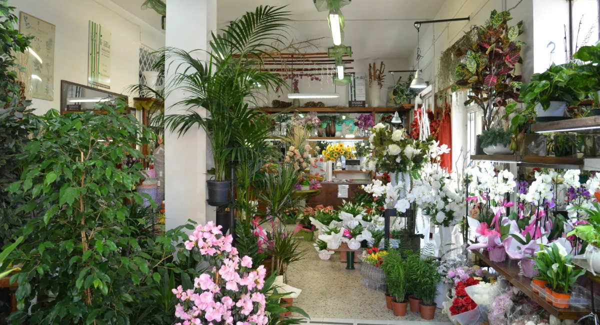Fiorai Grosseto Consegna a Domicilio - Fior di Lillà