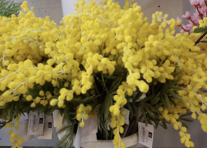 Fiori per Ricorrenze, Fiorai a Grosseto Fiori di Lillà