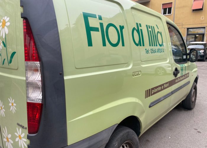 FIORAI A GROSSETO CONSEGNA A DOMICILIO - FIOR DI LILLA