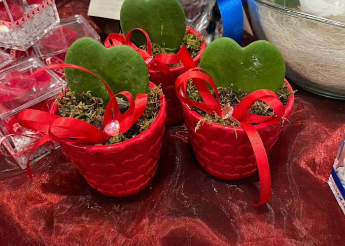 fiori per san valentino - fioraio grosseto consegna a domicilio Fior di Lillà