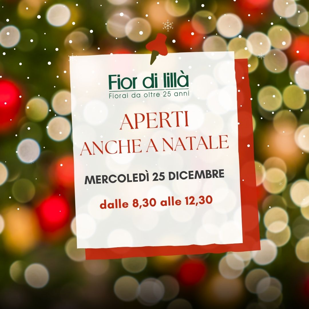 Fiorai aperti a Natale - Fior di Lillà Grosseto